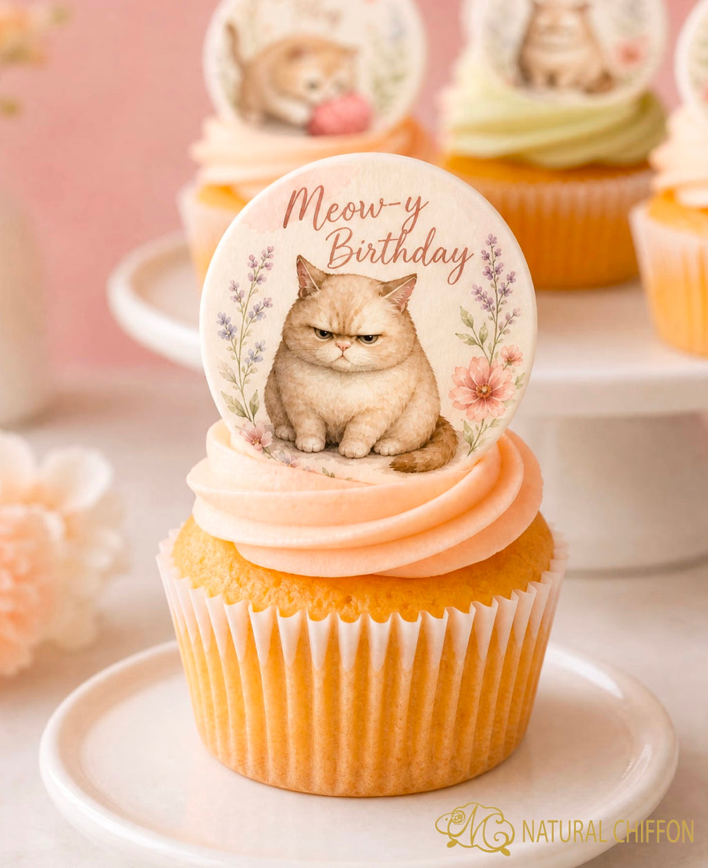 Cute Fat Cat Birthday｜8款設計｜可改文字