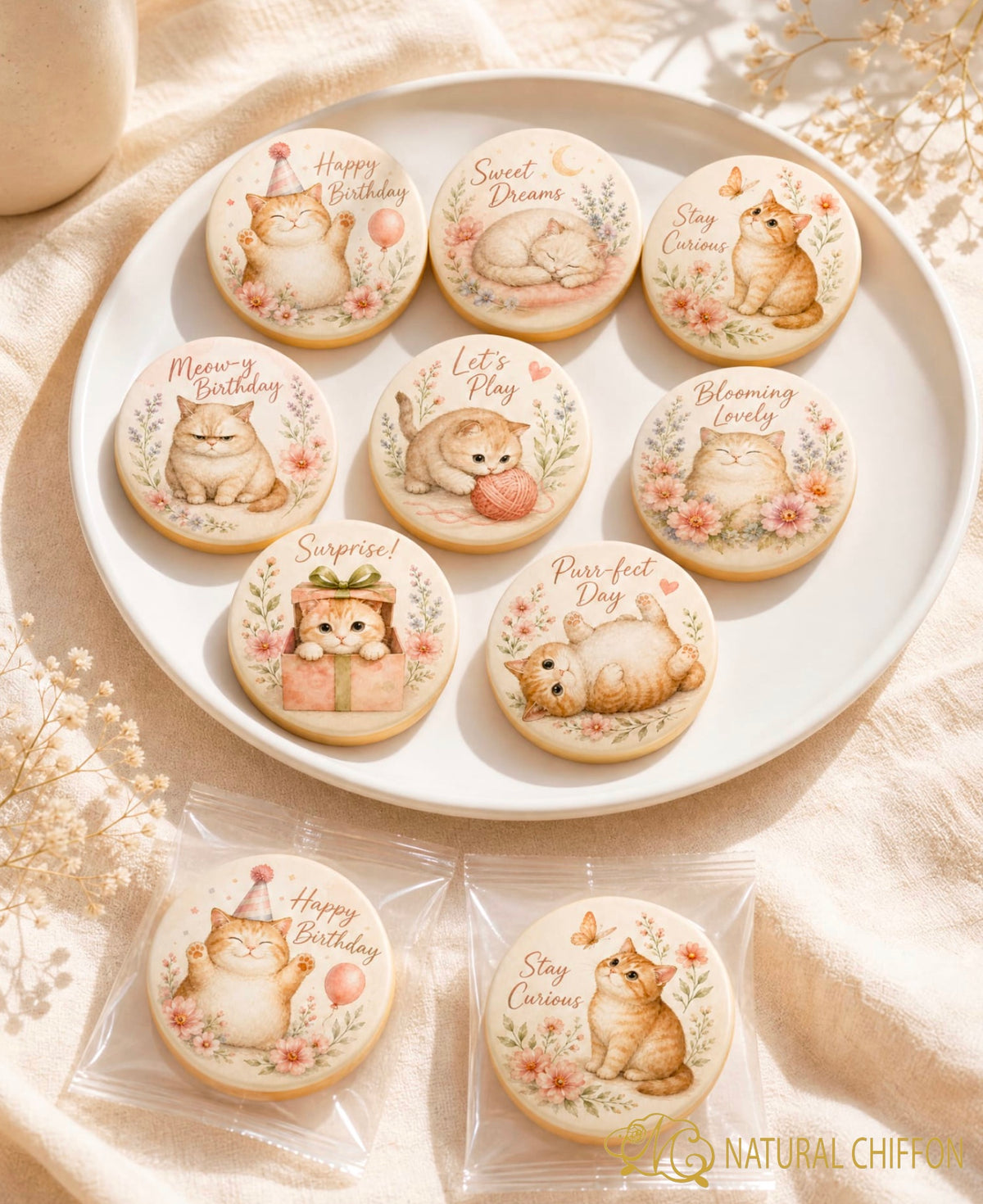 Cute Fat Cat Birthday｜可愛胖貓生日・即選即印