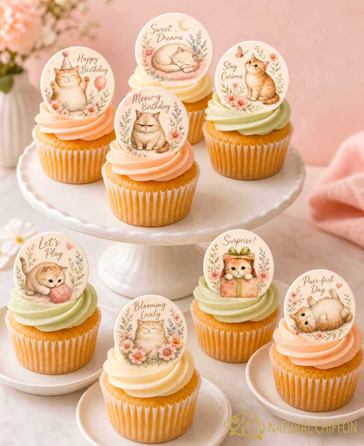 Cute Fat Cat Birthday｜可愛胖貓生日・即選即印