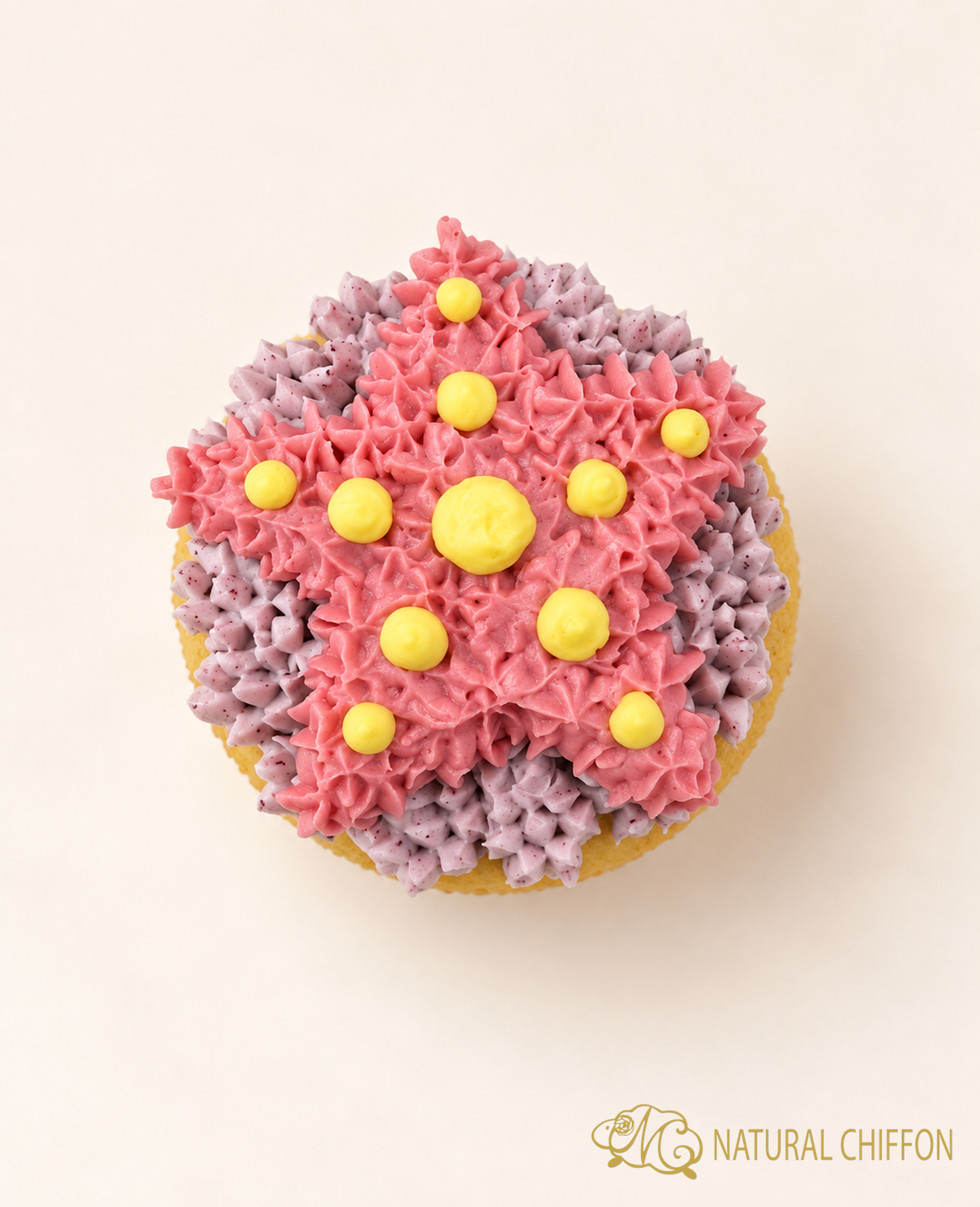CA051 海星 Cupcake