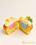 性別揭曉Cupcake