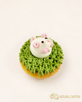 CA100 鼠 Cupcake