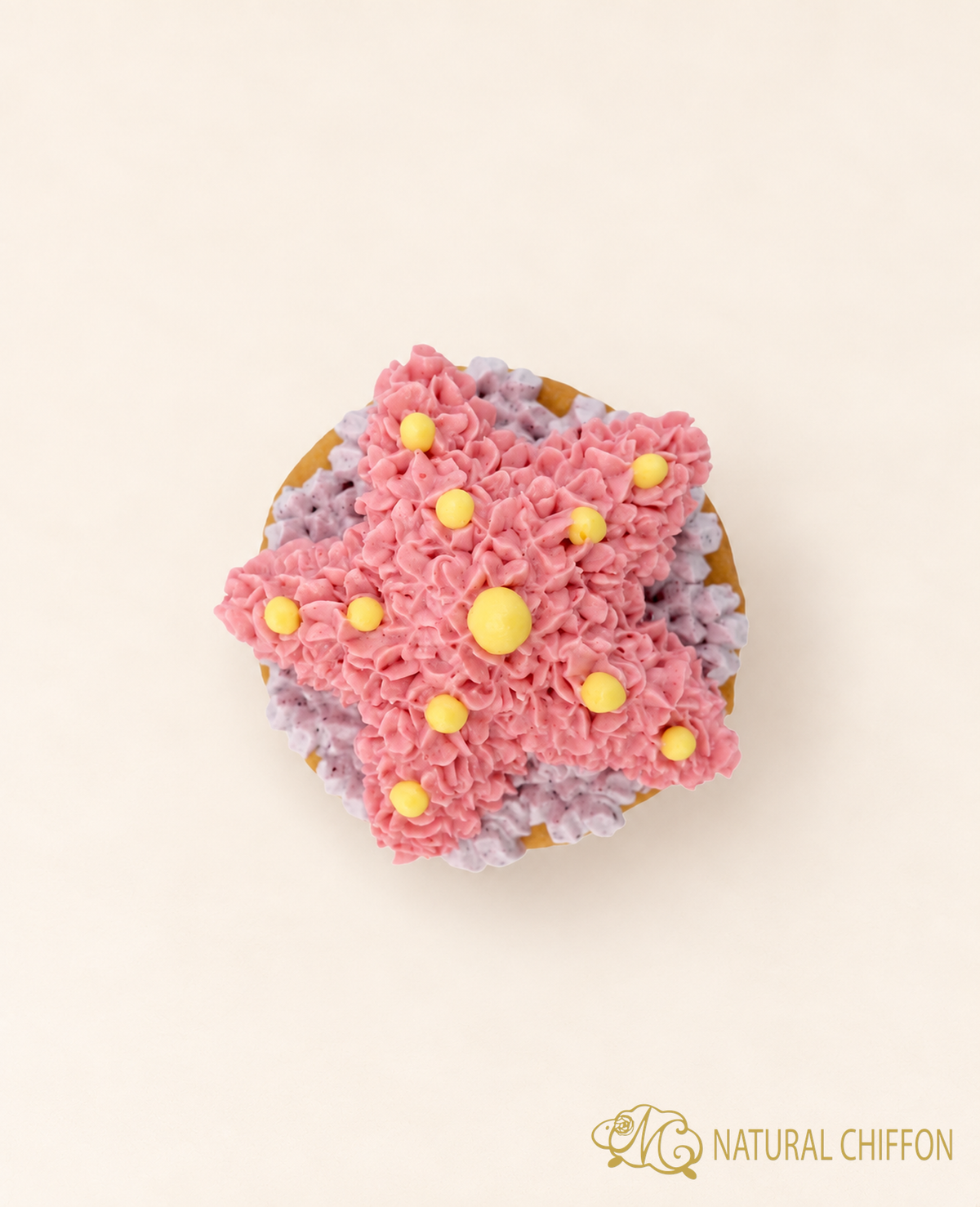 CA151 海星 Cupcake