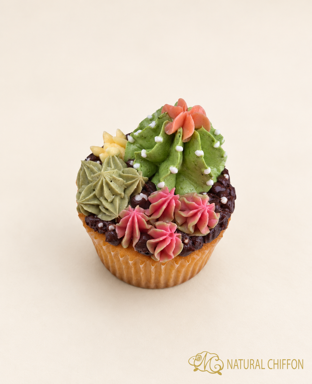 CF113 仙人掌 Cucake