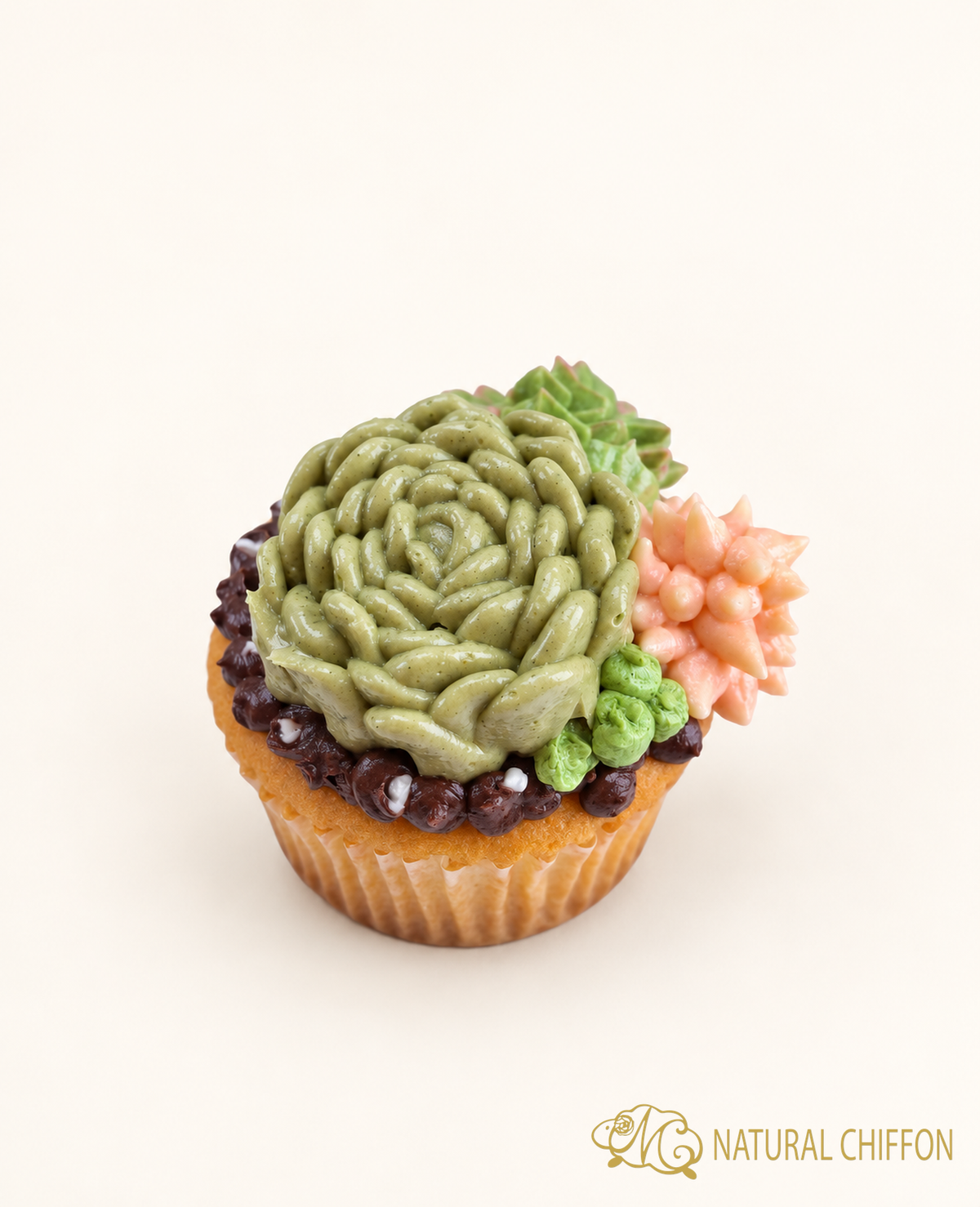 CF114 仙人掌 Cucake