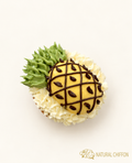 CO131 菠蘿 Cupcake