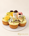 CC104  CucakesCake 7件裝