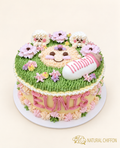 BB105 1層嬰兒蛋糕 約6.5吋(約2磅) 