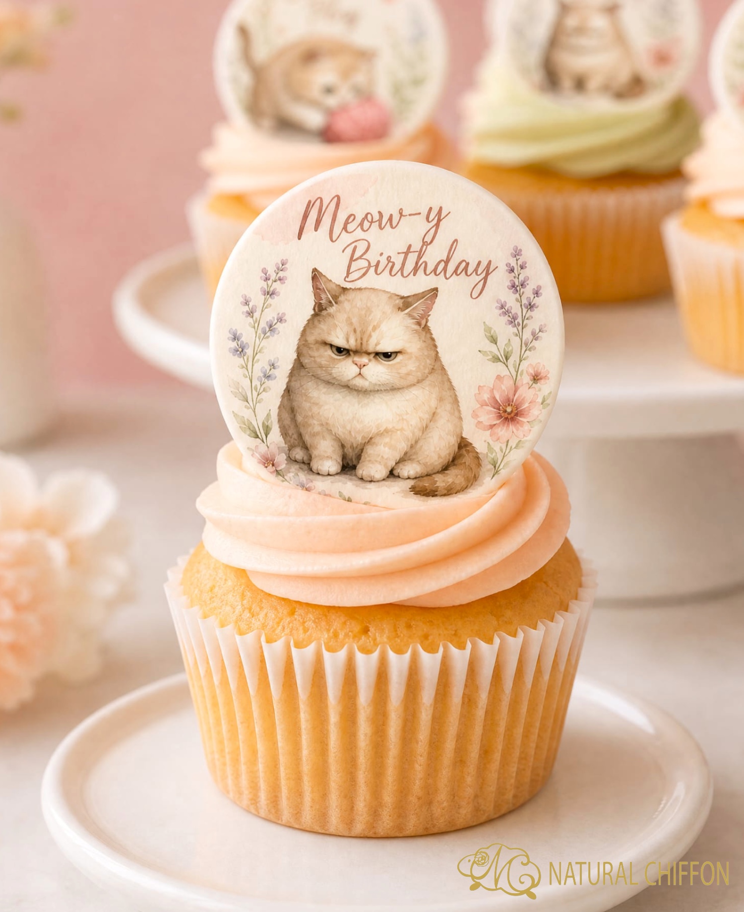 Cute Fat Cat Birthday｜8款設計｜可改文字