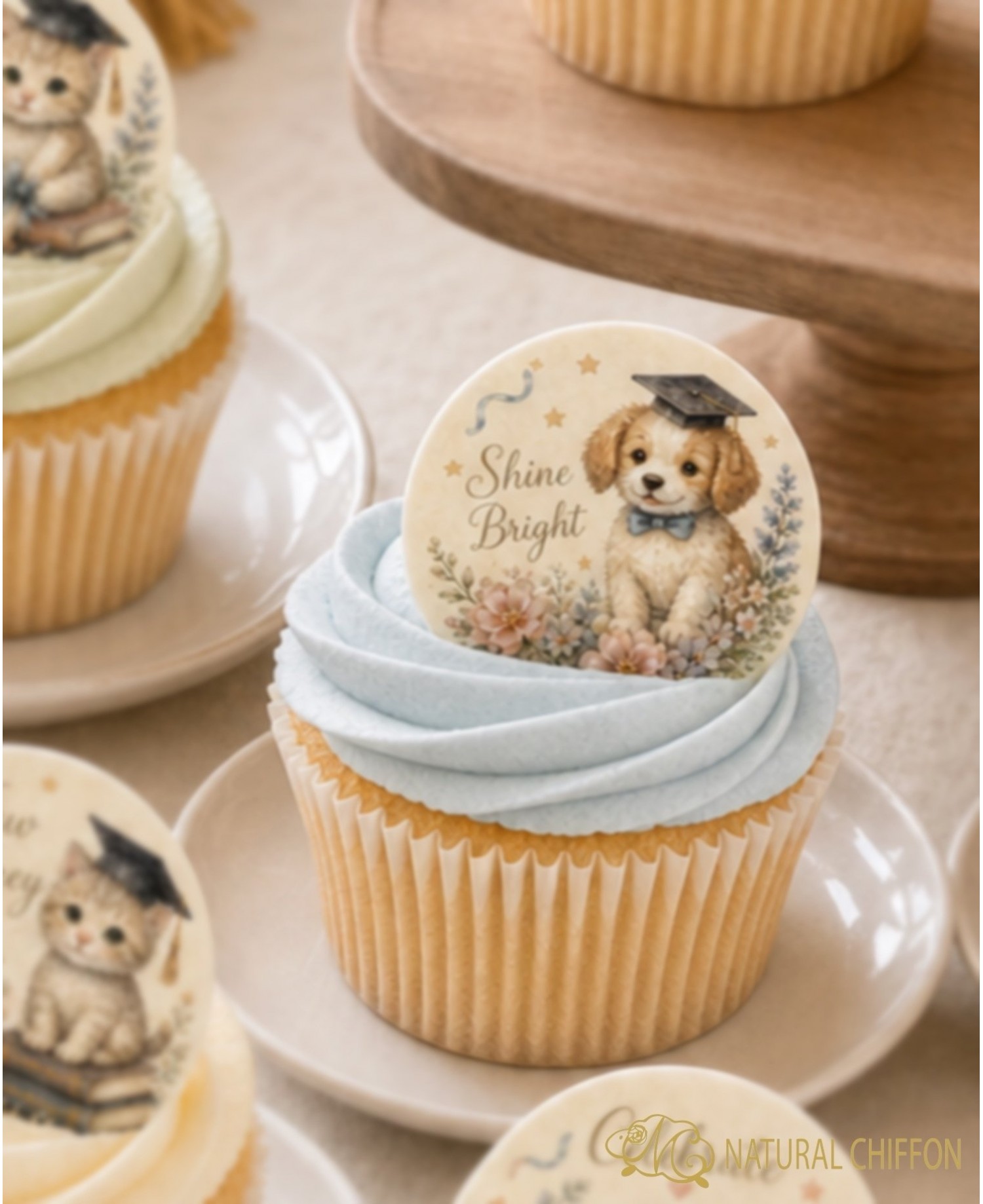 1件｜Standard Cupcake｜客人來圖