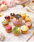畢業BB生1大10小Cupcake