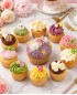 畢業証書1大10小Cupcake