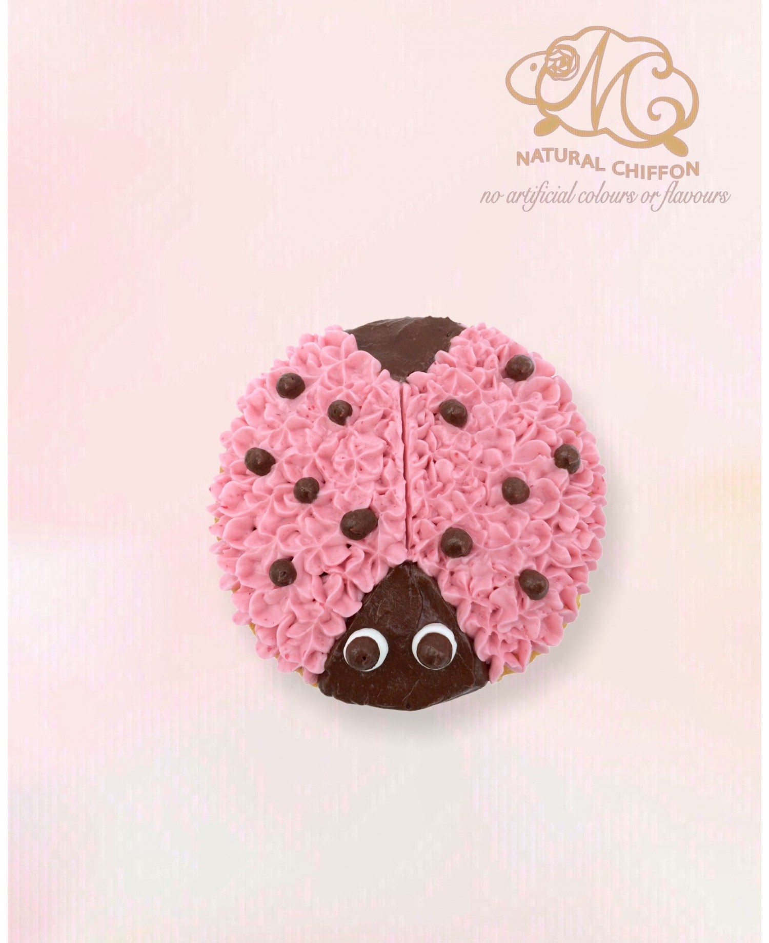 CA144 甲蟲 Cupcake