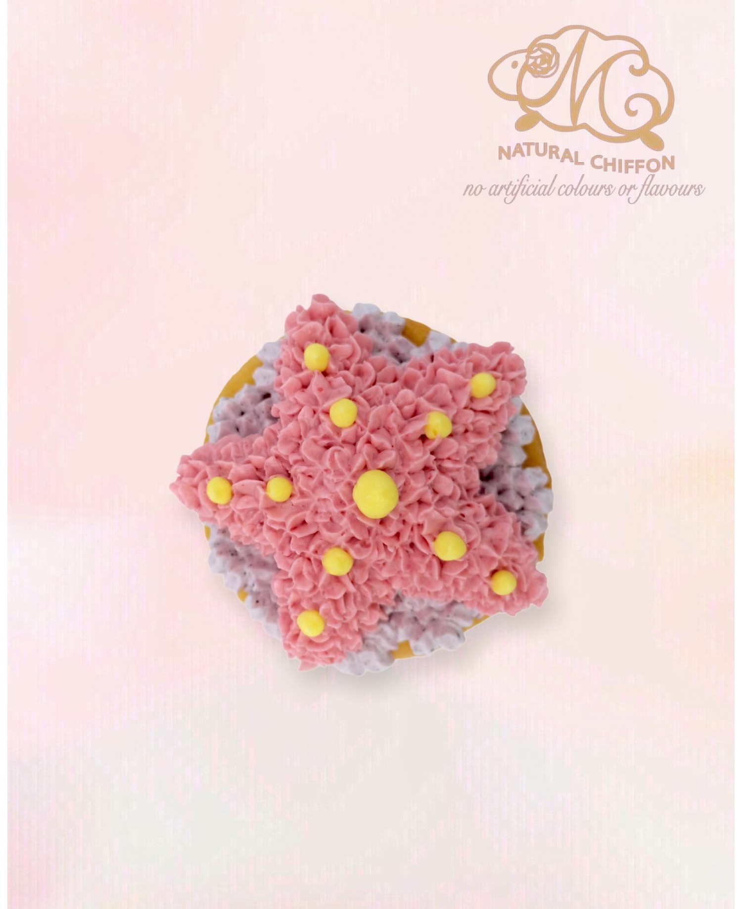 CA151 海星 Cupcake