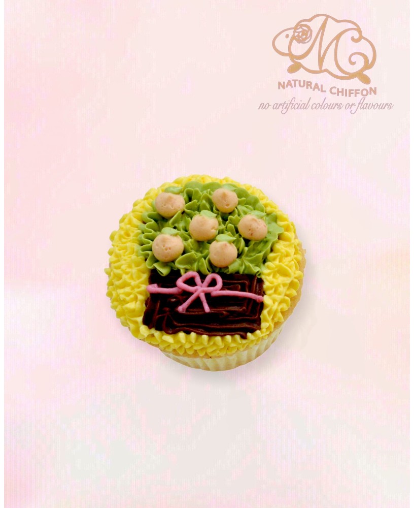 CF117 桔  Cupcake