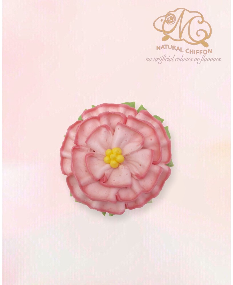 CF104 牡丹 Cucake