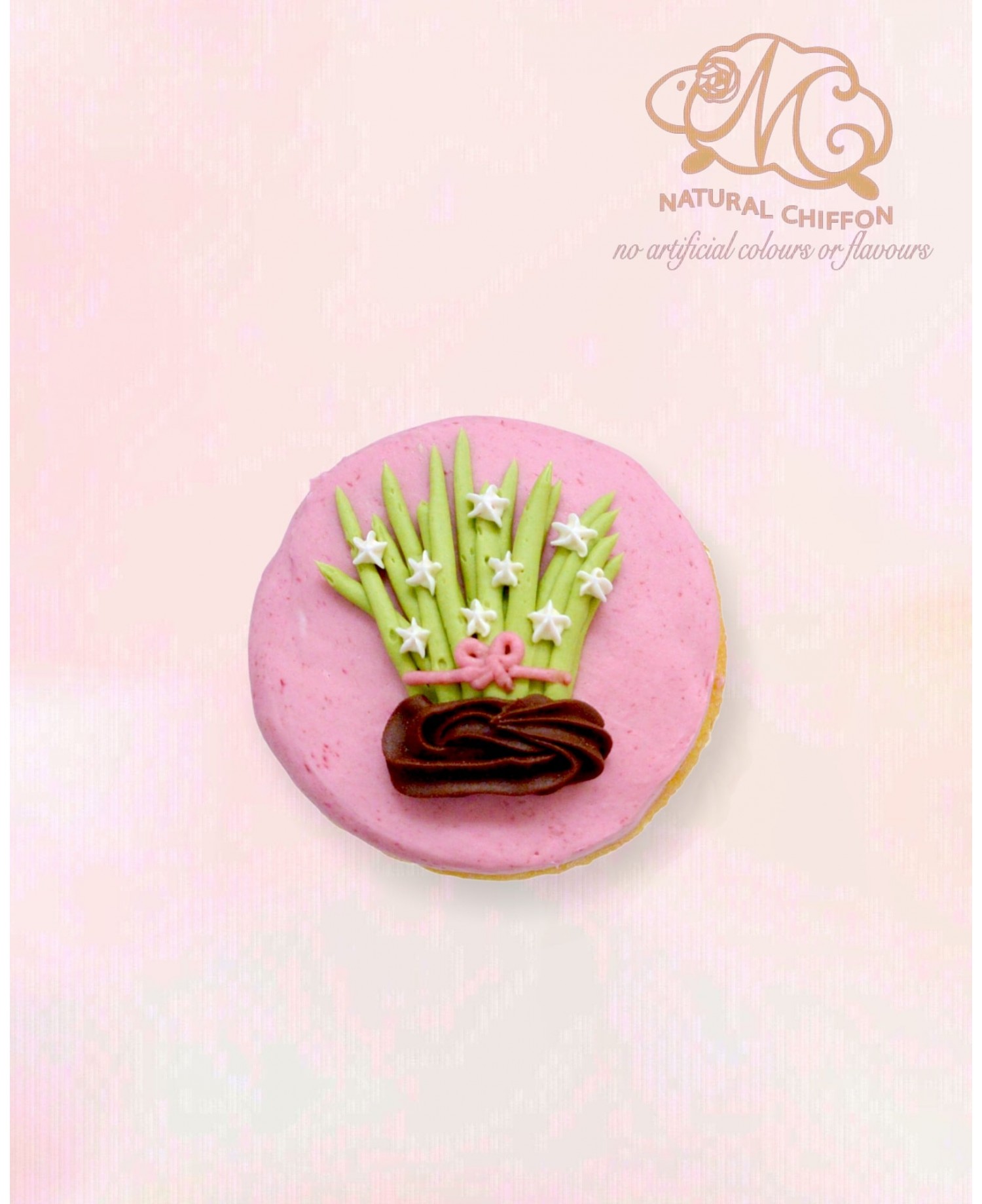 CF116 水仙 Cupcake