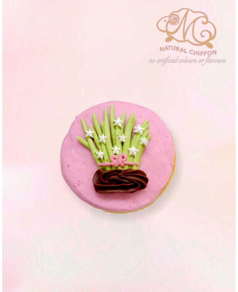 CF116 水仙 Cupcake