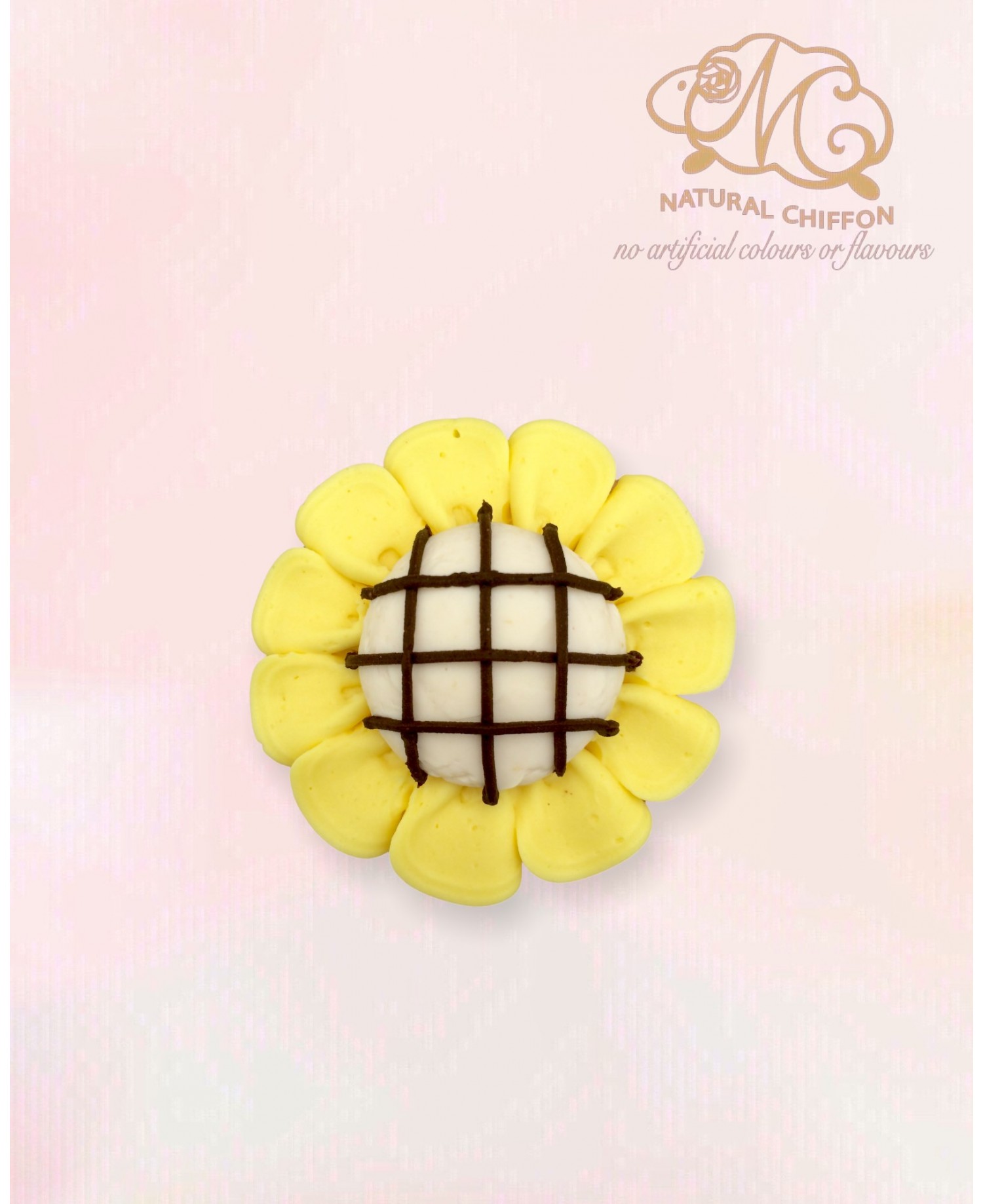 CF100 太陽花(白蕊) Cupcake