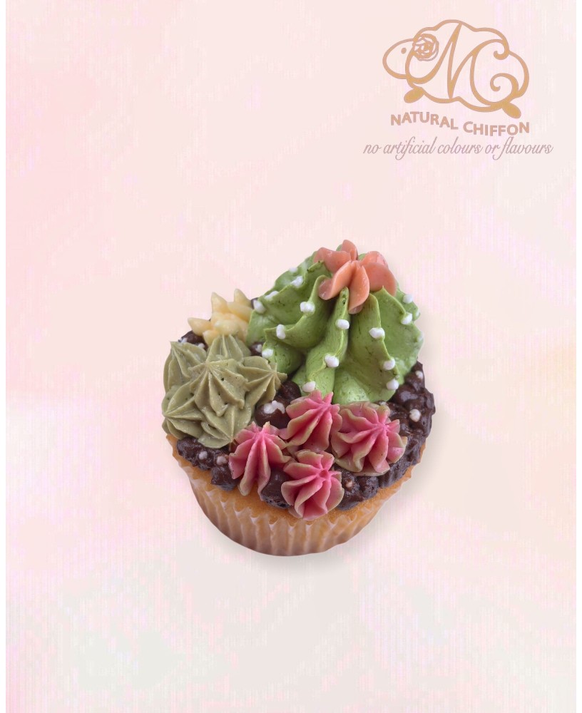 CF113 仙人掌 Cucake