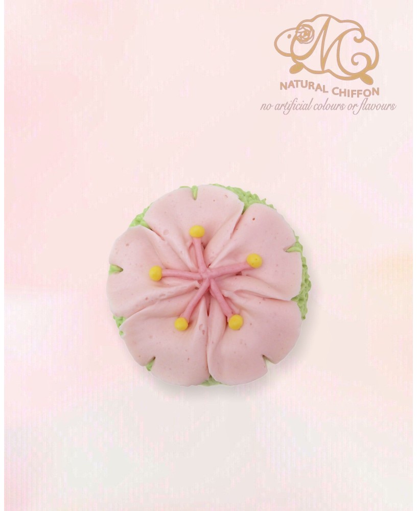 CF103 櫻花 Cucake